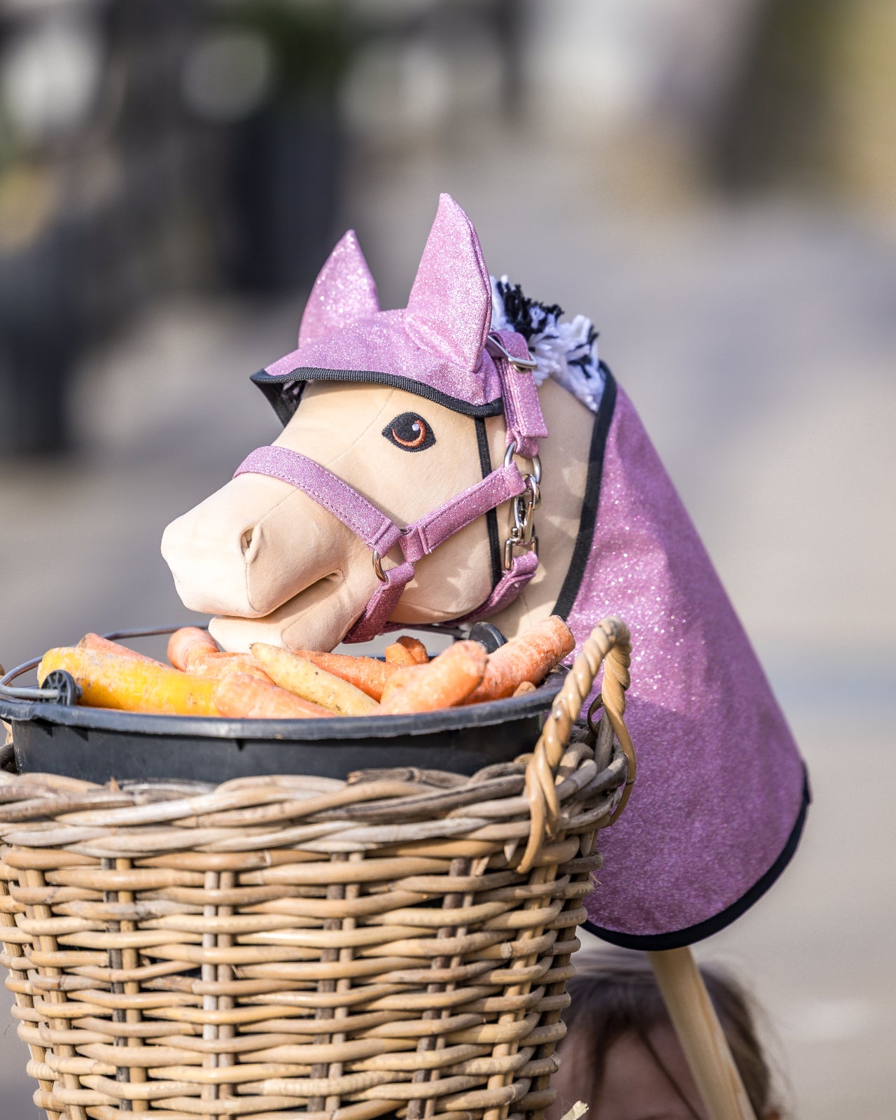 My Hobby Horse Rug & Ear Bonnet, glitter