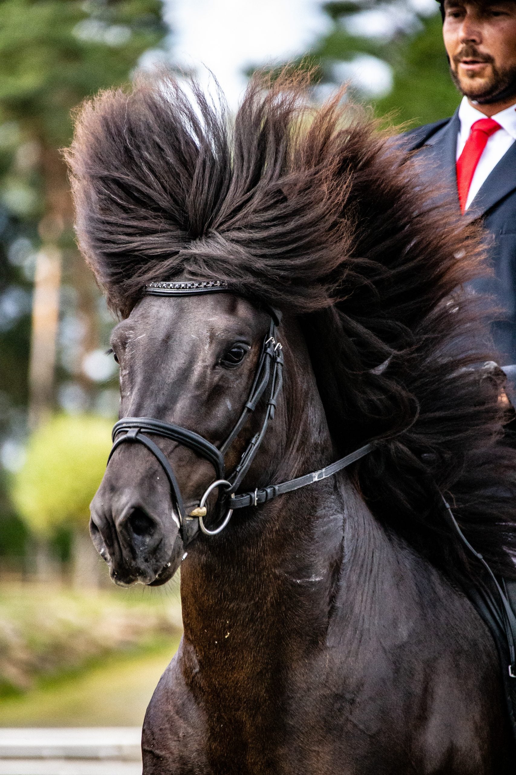 Wave Stirnriemen mit grossen Kristallen (in Weissen oder Schwarzen)