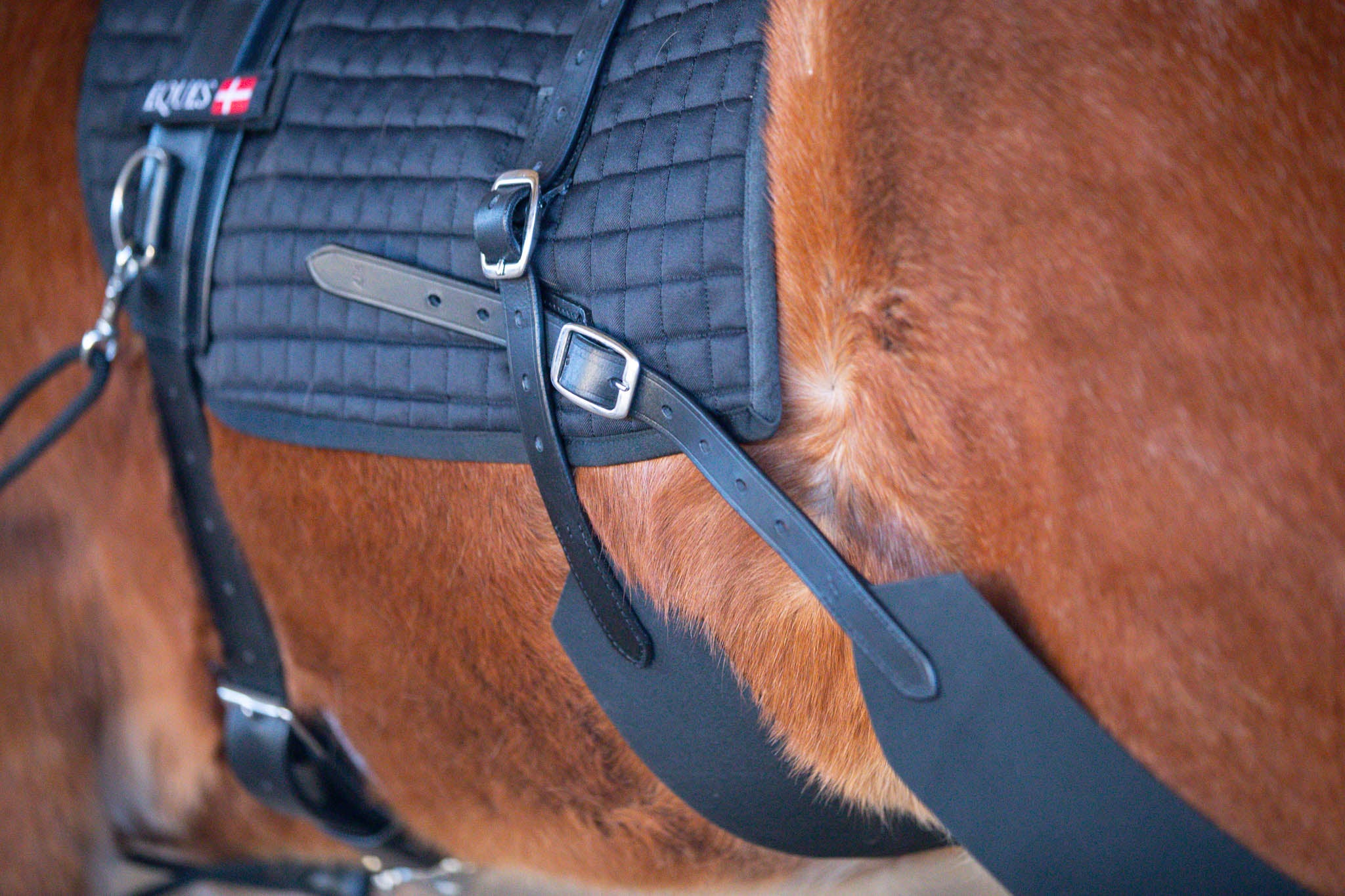 Core Trainer Longiersystem