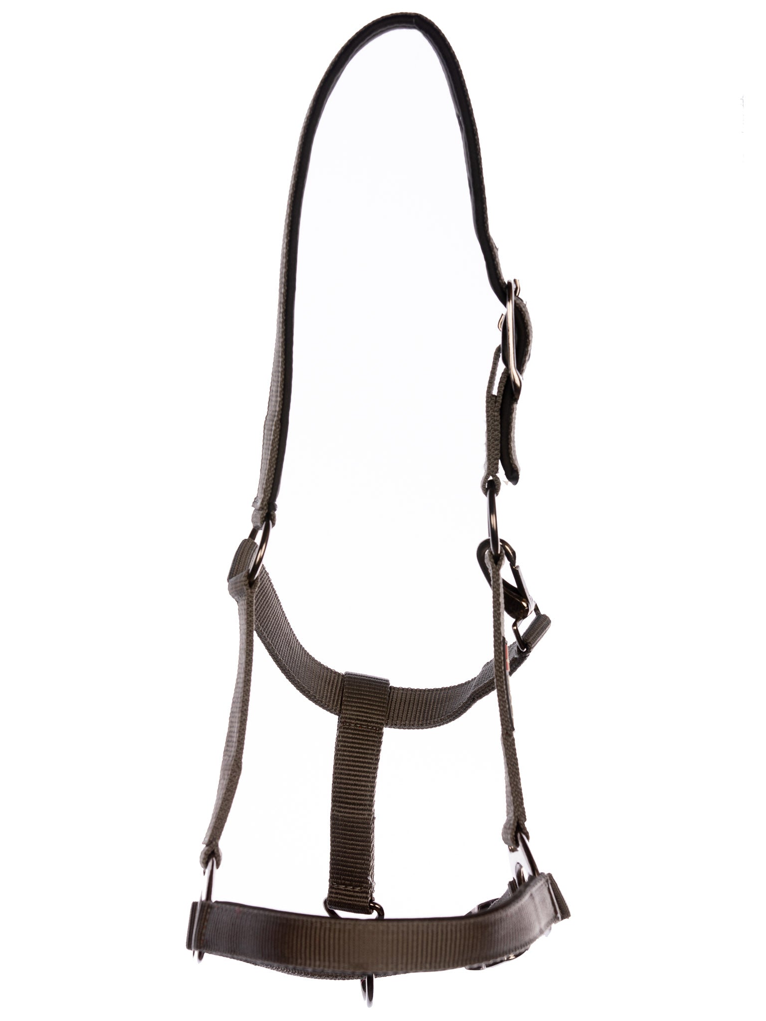 Doppel-Schnallen-Halfter NEU