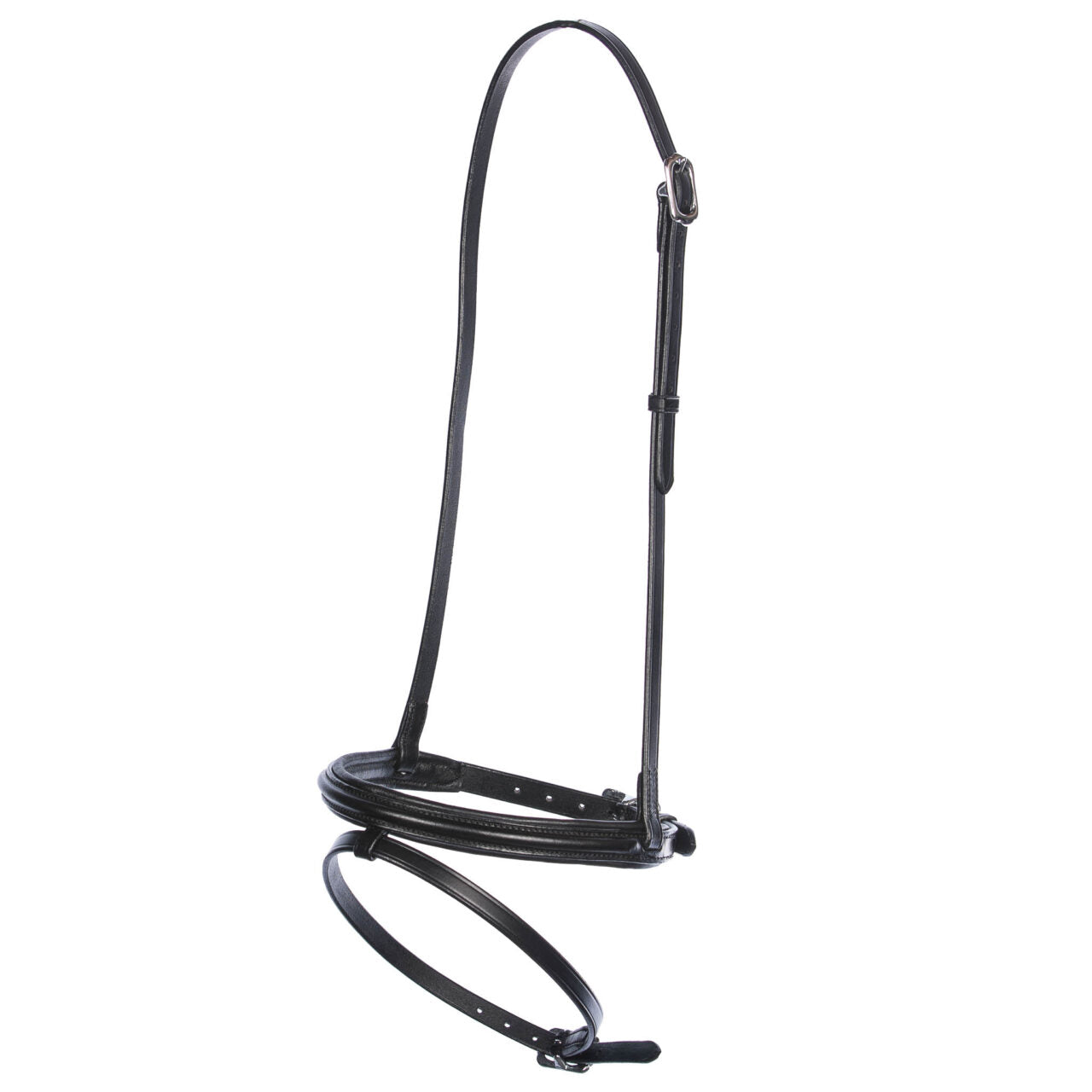 Singula – Kombiniertes Reithalfter