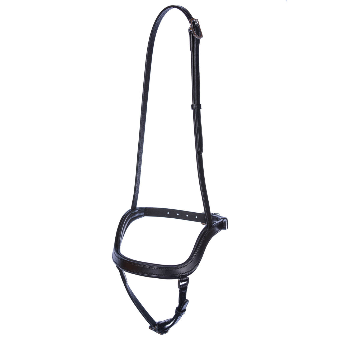 Singula – Ergonomisches Fusion-Reithalfter