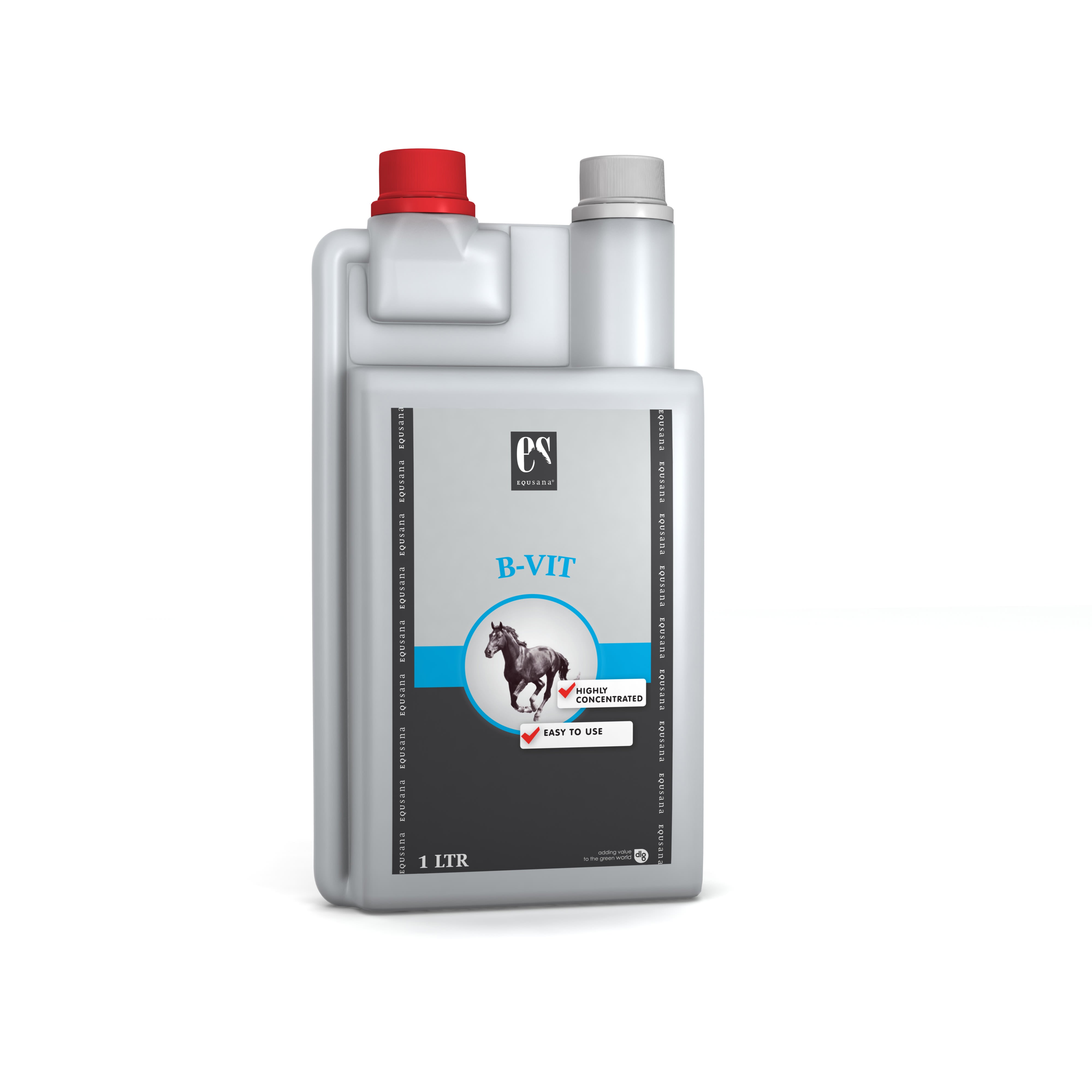 B-VIT - WM 2025 SPECIAL PRICE