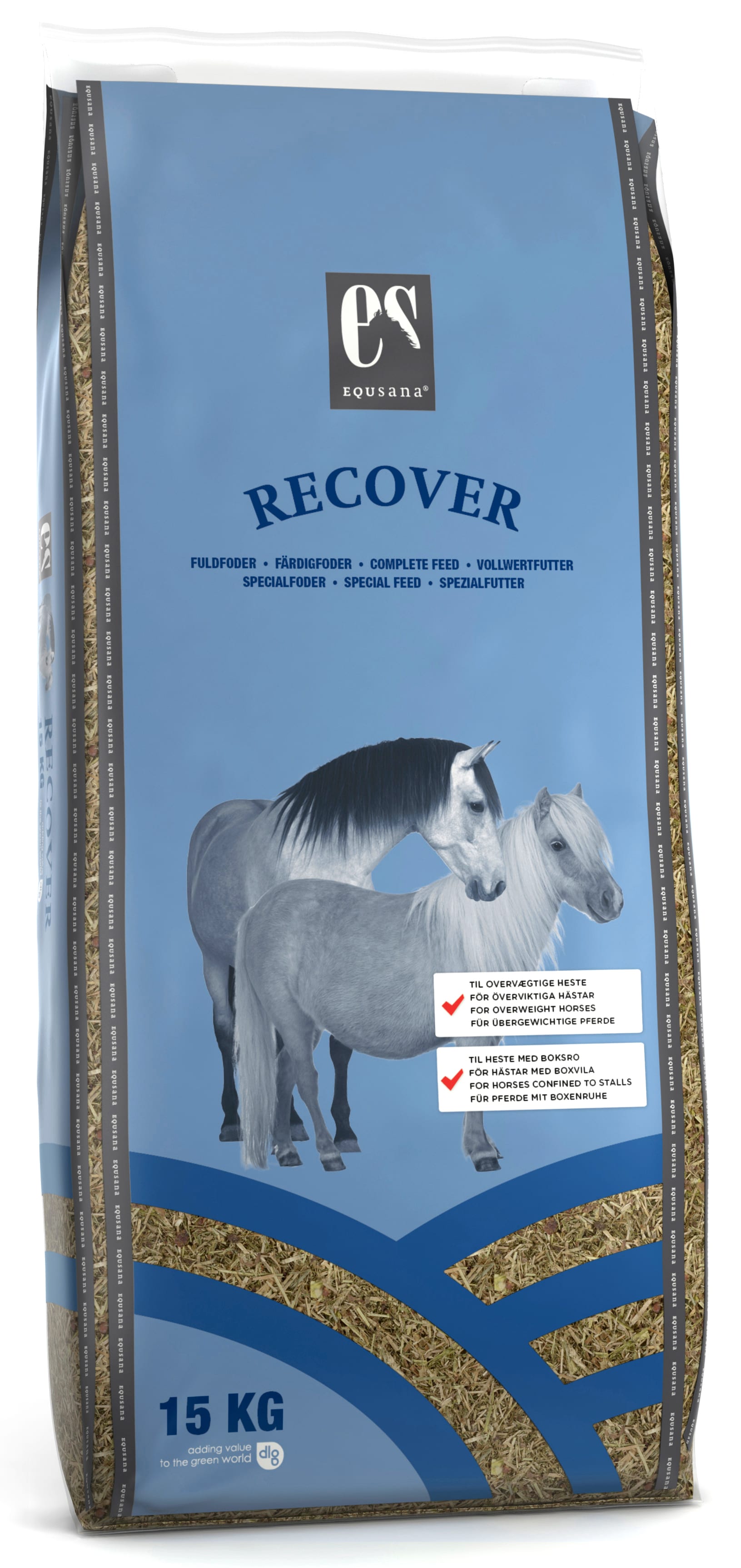 Recover - WM 2025 SPECIAL PRICE