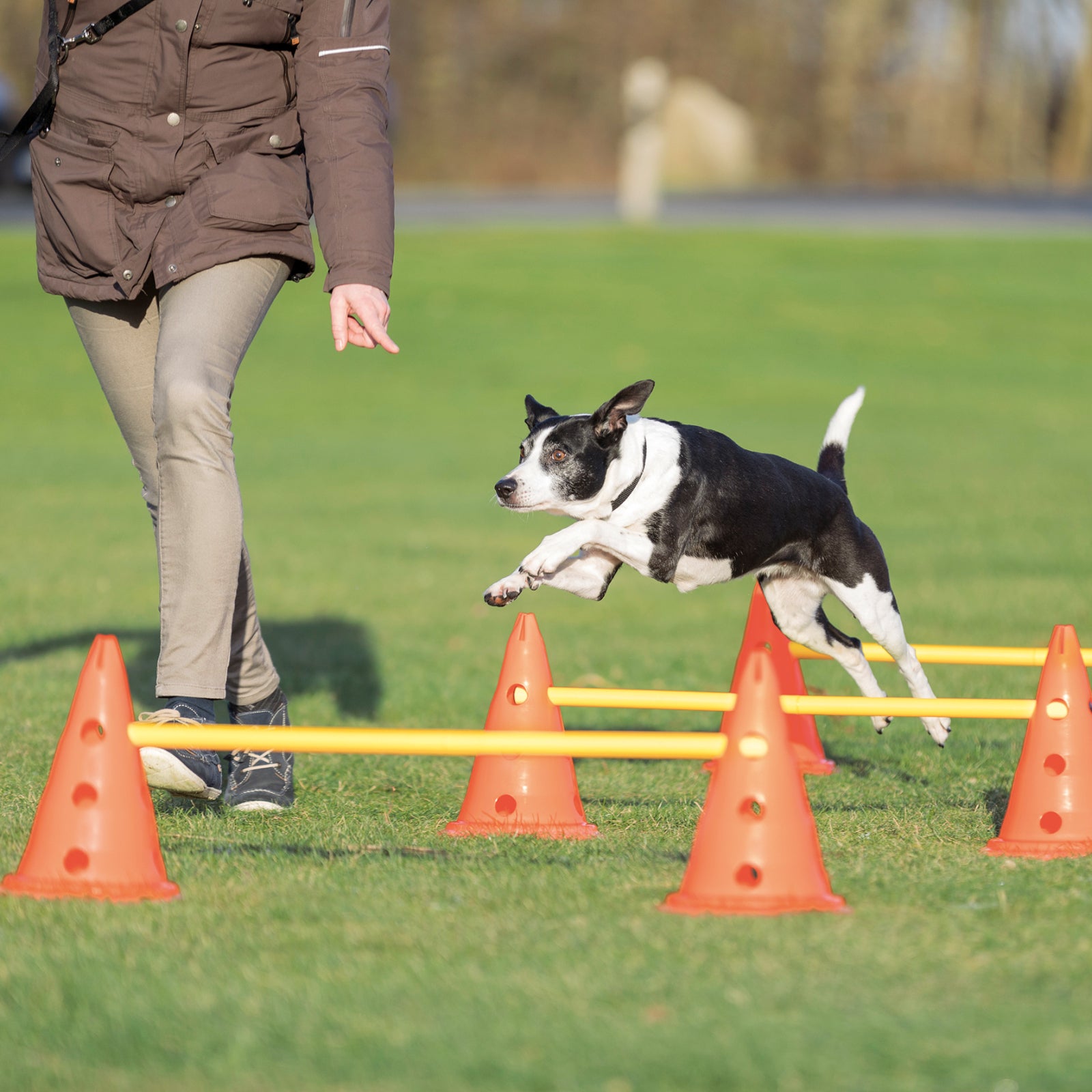 Hindernisset für Spass & Bewegung 30 CM